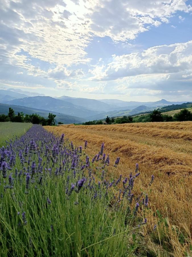 Agriturismo La Casetta - Ospitalita Rurale Familiare Montese Exterior photo